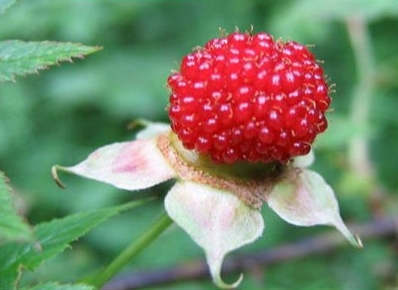 ����� �÷��̹�����(�����)